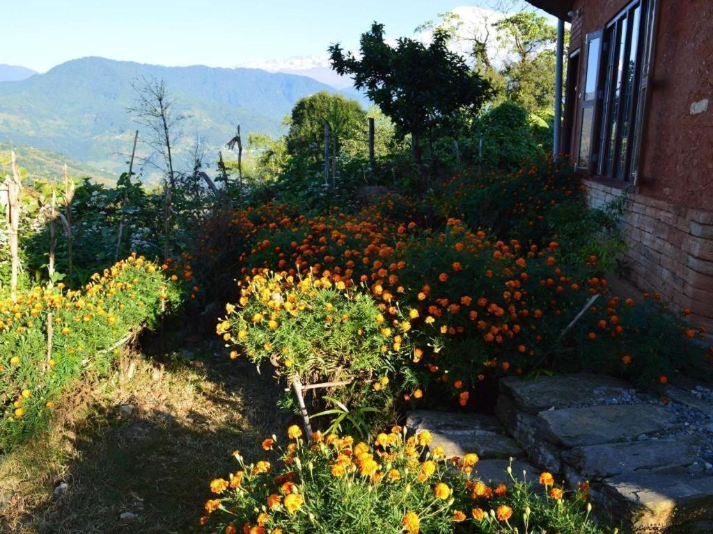 Mystique Highland Resort Pokhara Exterior foto